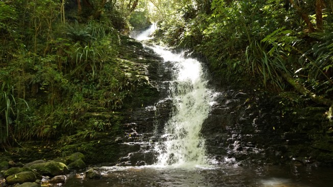 Ross Creek Waterfall